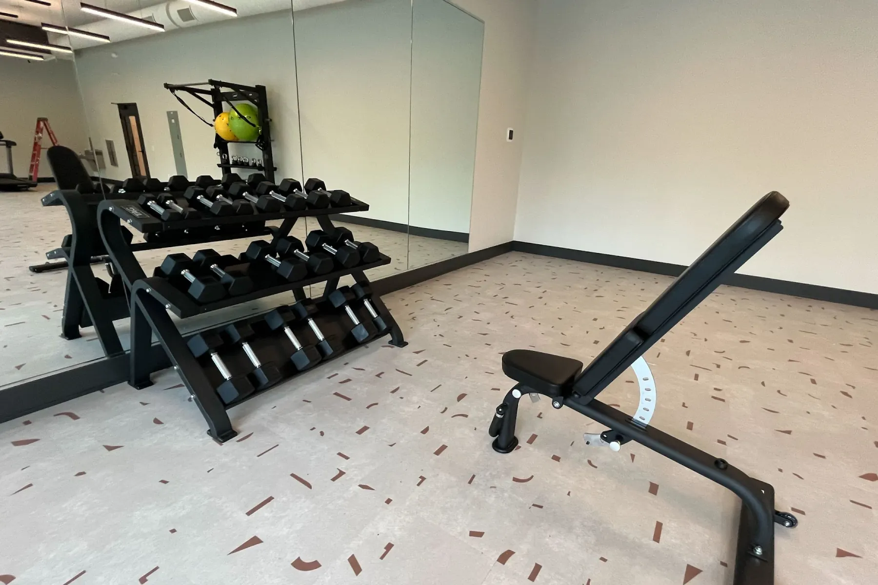 Free-weight area at Packard Row with a full dumbbell rack and an adjustable weight bench in front of a mirrored wall