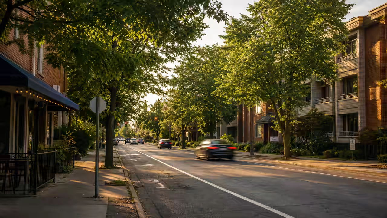 Tree-lined Packard Street streetscape with brick buildings, sidewalk storefronts, and cars moving through late afternoon light.